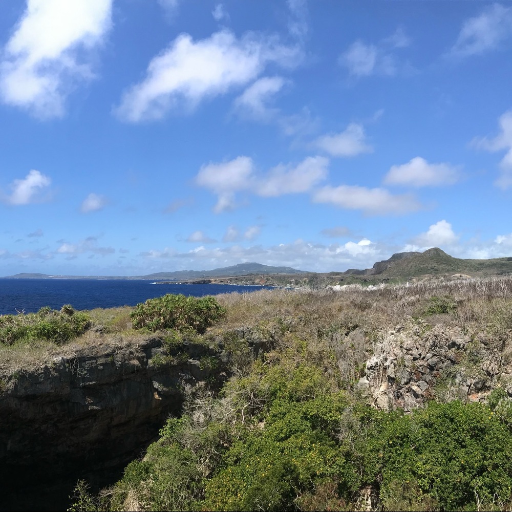 Meet your Posher, James